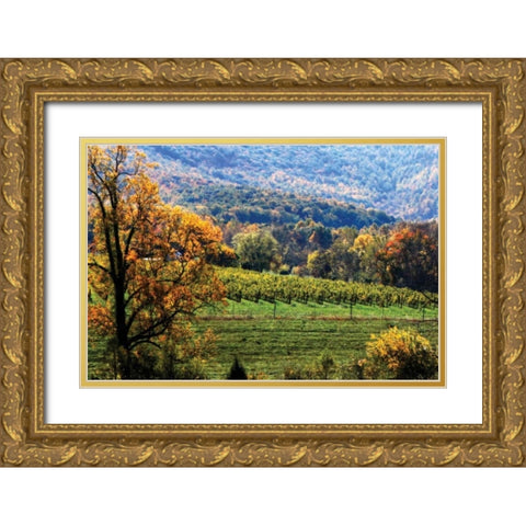 Autumn Foothills II Gold Ornate Wood Framed Art Print with Double Matting by Hausenflock, Alan