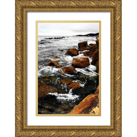 Sand Hill Cove II Gold Ornate Wood Framed Art Print with Double Matting by Hausenflock, Alan