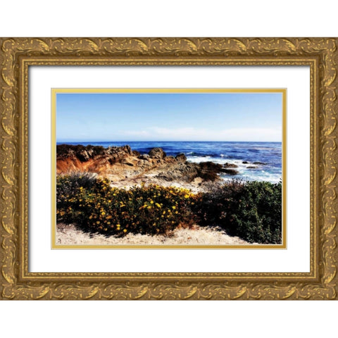 Spanish Bay II Gold Ornate Wood Framed Art Print with Double Matting by Hausenflock, Alan