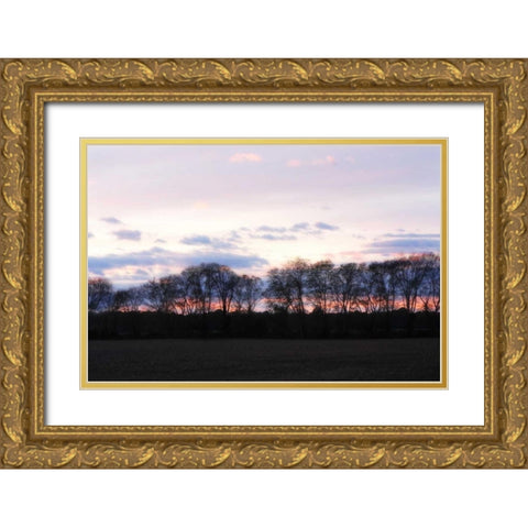 Winter Sunset I Gold Ornate Wood Framed Art Print with Double Matting by Hausenflock, Alan