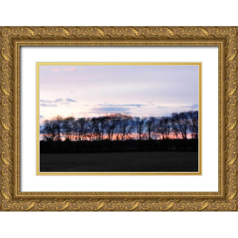 Winter Sunset II Gold Ornate Wood Framed Art Print with Double Matting by Hausenflock, Alan
