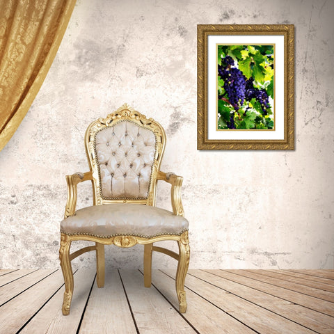 Grapes I Gold Ornate Wood Framed Art Print with Double Matting by Hausenflock, Alan