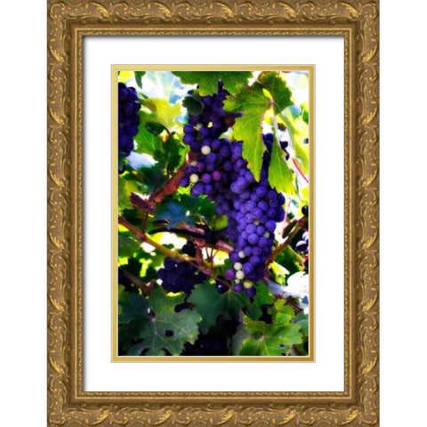 Grapes II Gold Ornate Wood Framed Art Print with Double Matting by Hausenflock, Alan