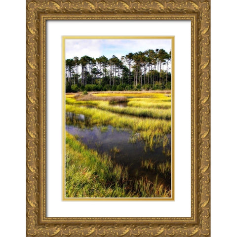 Down East II Gold Ornate Wood Framed Art Print with Double Matting by Hausenflock, Alan