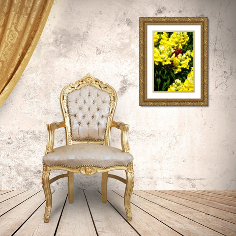 Garden Glory IV Gold Ornate Wood Framed Art Print with Double Matting by Hausenflock, Alan