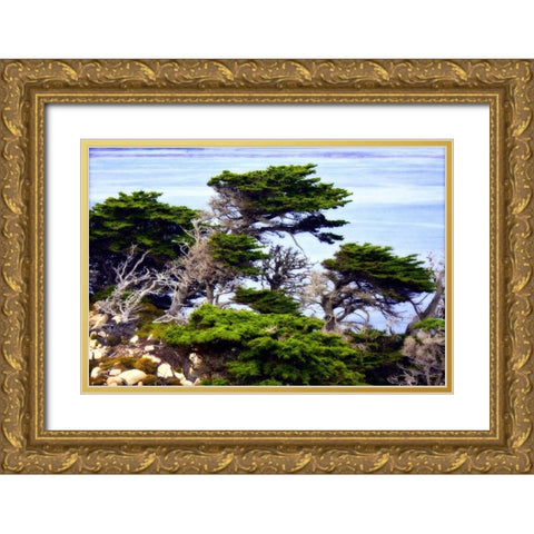 North Point I Gold Ornate Wood Framed Art Print with Double Matting by Hausenflock, Alan