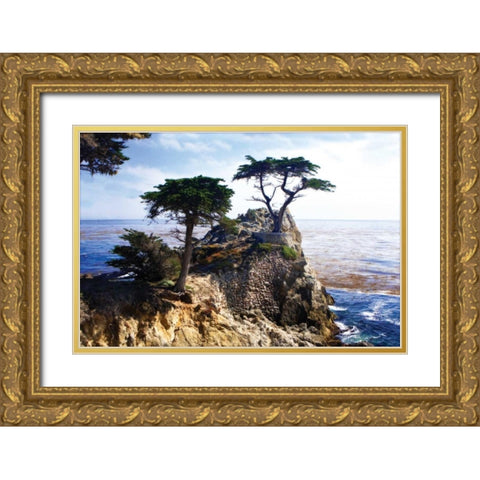 Lone Cypress II Gold Ornate Wood Framed Art Print with Double Matting by Hausenflock, Alan