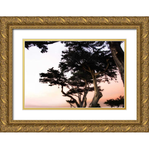 Cypress Silhouette III Gold Ornate Wood Framed Art Print with Double Matting by Hausenflock, Alan