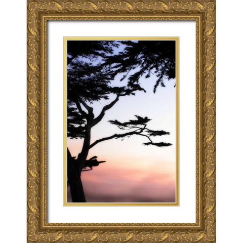 Cypress Silhouette IV Gold Ornate Wood Framed Art Print with Double Matting by Hausenflock, Alan