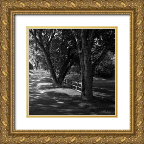 Ash Lawn Square II Gold Ornate Wood Framed Art Print with Double Matting by Hausenflock, Alan