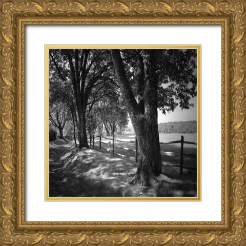 Summer Stroll Square II Gold Ornate Wood Framed Art Print with Double Matting by Hausenflock, Alan