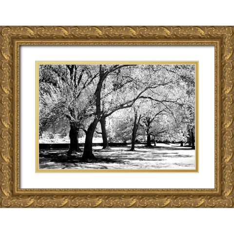 Fantasy Oaks Gold Ornate Wood Framed Art Print with Double Matting by Hausenflock, Alan