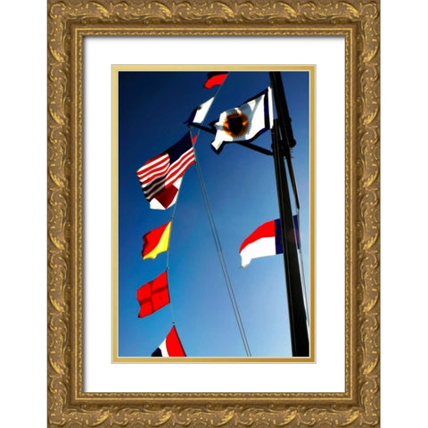 Signal Flags II Gold Ornate Wood Framed Art Print with Double Matting by Hausenflock, Alan