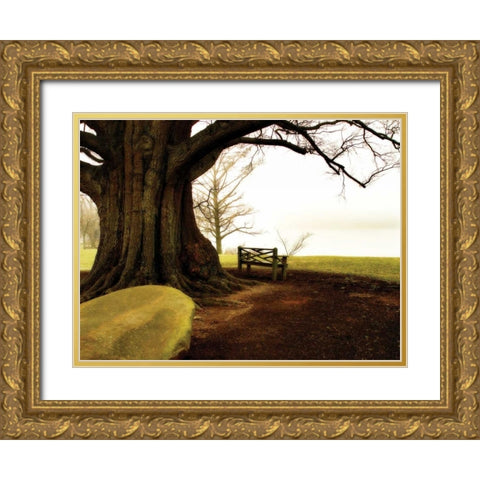 Fog on the James I Gold Ornate Wood Framed Art Print with Double Matting by Hausenflock, Alan