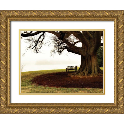 Fog on the James II Gold Ornate Wood Framed Art Print with Double Matting by Hausenflock, Alan
