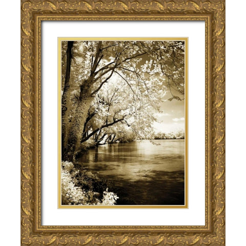 Spring on the River I Gold Ornate Wood Framed Art Print with Double Matting by Hausenflock, Alan