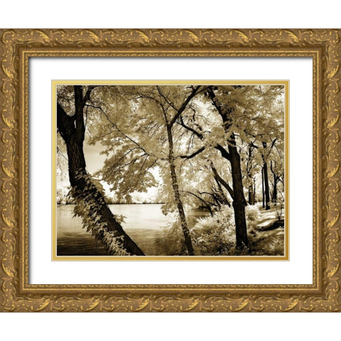 Spring on the River IV Gold Ornate Wood Framed Art Print with Double Matting by Hausenflock, Alan