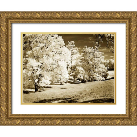 Sunlit Meadows I Gold Ornate Wood Framed Art Print with Double Matting by Hausenflock, Alan