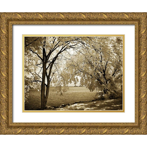 Hopewell Shores I Gold Ornate Wood Framed Art Print with Double Matting by Hausenflock, Alan