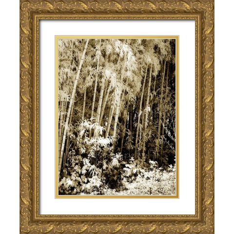 Bamboo Grove I Gold Ornate Wood Framed Art Print with Double Matting by Hausenflock, Alan