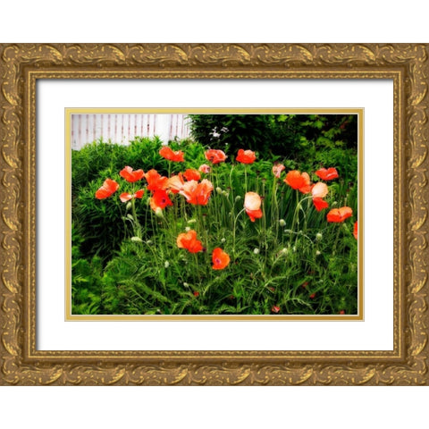 Poppies I Gold Ornate Wood Framed Art Print with Double Matting by Hausenflock, Alan