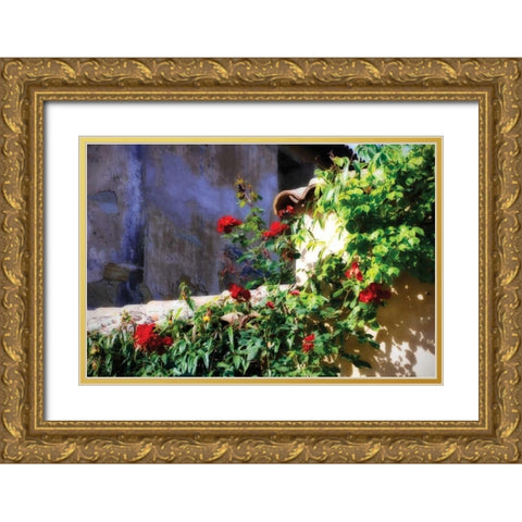 Flowers on a Mission Wall III Gold Ornate Wood Framed Art Print with Double Matting by Hausenflock, Alan