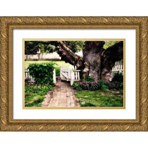 Grandfather Tree I Gold Ornate Wood Framed Art Print with Double Matting by Hausenflock, Alan