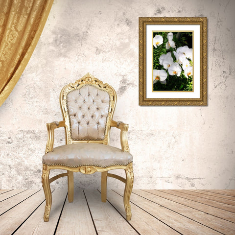 Orchids and Ferns II Gold Ornate Wood Framed Art Print with Double Matting by Hausenflock, Alan