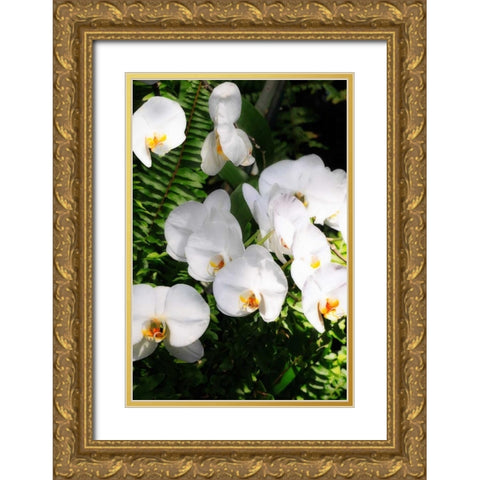 Orchids and Ferns II Gold Ornate Wood Framed Art Print with Double Matting by Hausenflock, Alan