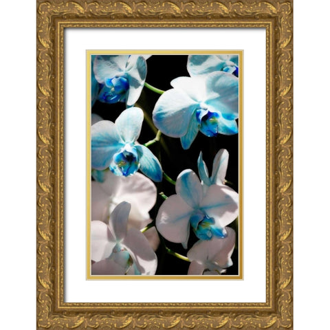 Blue Moth Orchids I Gold Ornate Wood Framed Art Print with Double Matting by Hausenflock, Alan