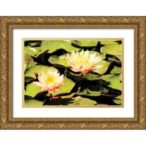 Blushing Lilies I Gold Ornate Wood Framed Art Print with Double Matting by Hausenflock, Alan