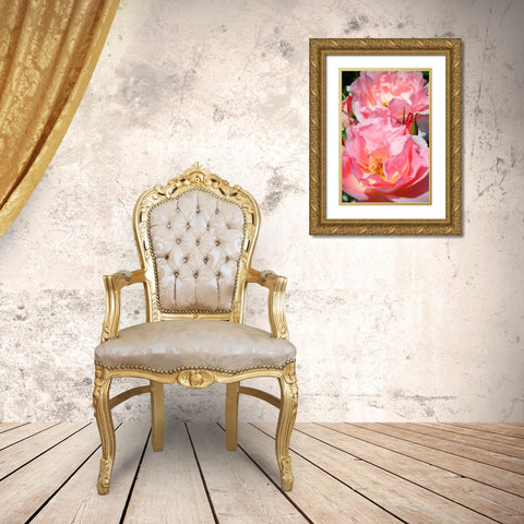 Wild Roses I Gold Ornate Wood Framed Art Print with Double Matting by Hausenflock, Alan