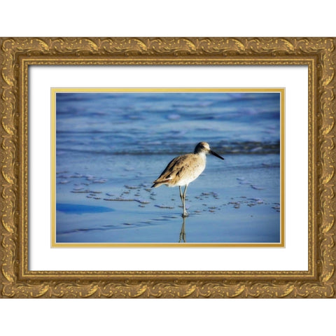 Sandpiper in the Surf II Gold Ornate Wood Framed Art Print with Double Matting by Hausenflock, Alan