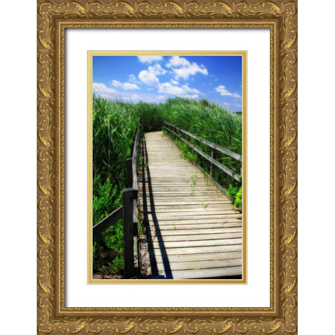 Wetland Walkway I Gold Ornate Wood Framed Art Print with Double Matting by Hausenflock, Alan