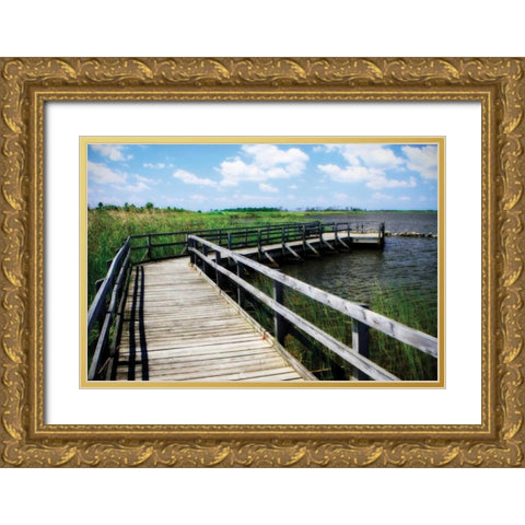 Wetland Walkway IV Gold Ornate Wood Framed Art Print with Double Matting by Hausenflock, Alan