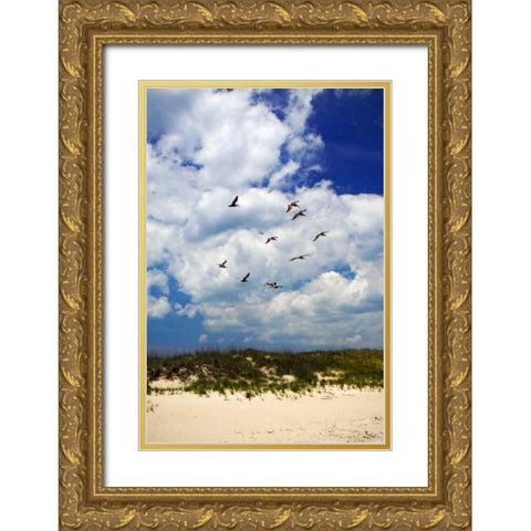 Pelicans over the Dunes VI Gold Ornate Wood Framed Art Print with Double Matting by Hausenflock, Alan