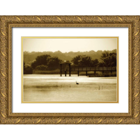 Lagoon II Gold Ornate Wood Framed Art Print with Double Matting by Hausenflock, Alan