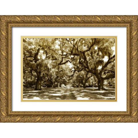 Druid Oaks I Gold Ornate Wood Framed Art Print with Double Matting by Hausenflock, Alan