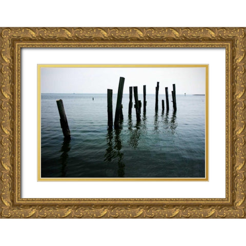 Pilings II Gold Ornate Wood Framed Art Print with Double Matting by Hausenflock, Alan