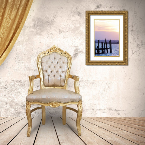 Seagulls at Sunset Gold Ornate Wood Framed Art Print with Double Matting by Hausenflock, Alan