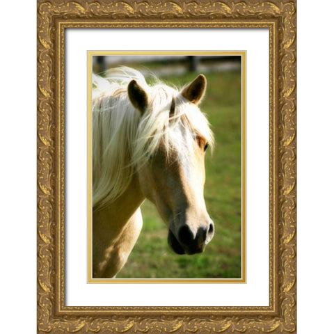 Sonny II Gold Ornate Wood Framed Art Print with Double Matting by Hausenflock, Alan