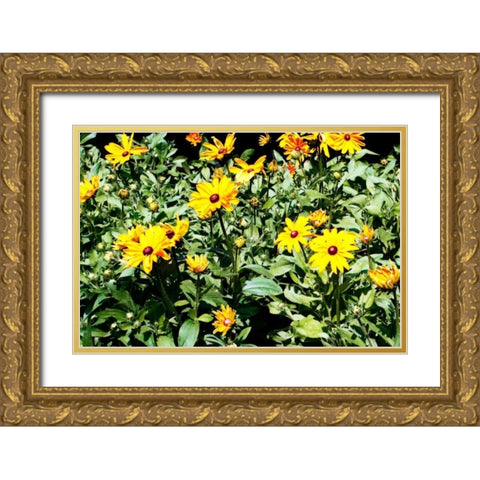 Yellow Daisies I Gold Ornate Wood Framed Art Print with Double Matting by Hausenflock, Alan