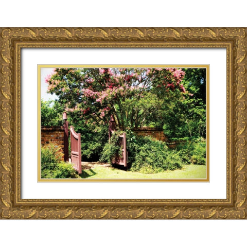 Crepe Myrtle I Gold Ornate Wood Framed Art Print with Double Matting by Hausenflock, Alan