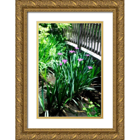 Spring Iris I Gold Ornate Wood Framed Art Print with Double Matting by Hausenflock, Alan