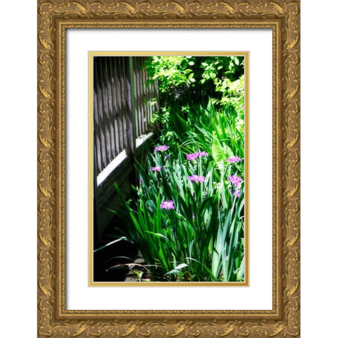 Spring Iris II Gold Ornate Wood Framed Art Print with Double Matting by Hausenflock, Alan