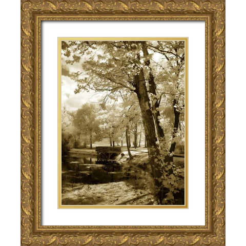 Mint Springs Lake I Gold Ornate Wood Framed Art Print with Double Matting by Hausenflock, Alan