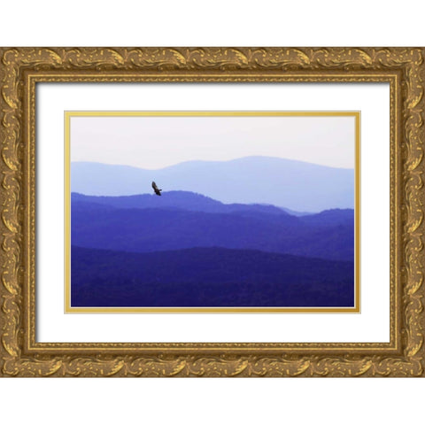 Blue Ridge II Gold Ornate Wood Framed Art Print with Double Matting by Hausenflock, Alan