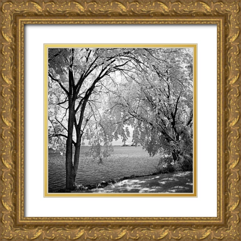 Hopewell Shores Square I Gold Ornate Wood Framed Art Print with Double Matting by Hausenflock, Alan