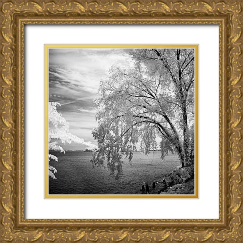 Hopewell Shores Square II Gold Ornate Wood Framed Art Print with Double Matting by Hausenflock, Alan