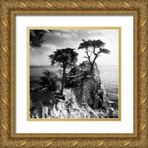 Ocean Cliff Square I Gold Ornate Wood Framed Art Print with Double Matting by Hausenflock, Alan